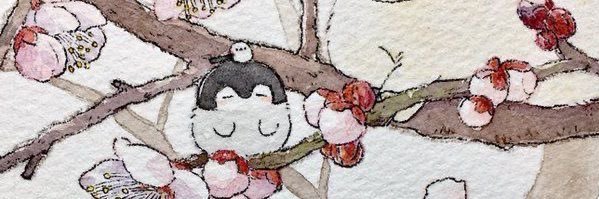 𓆩 ☆ 𓆪 banner