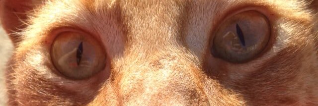 UrngeKnows's profile banner image