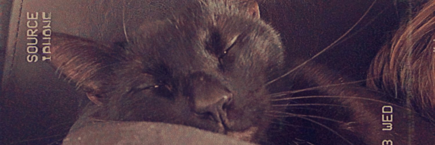 big_bonks's profile banner image