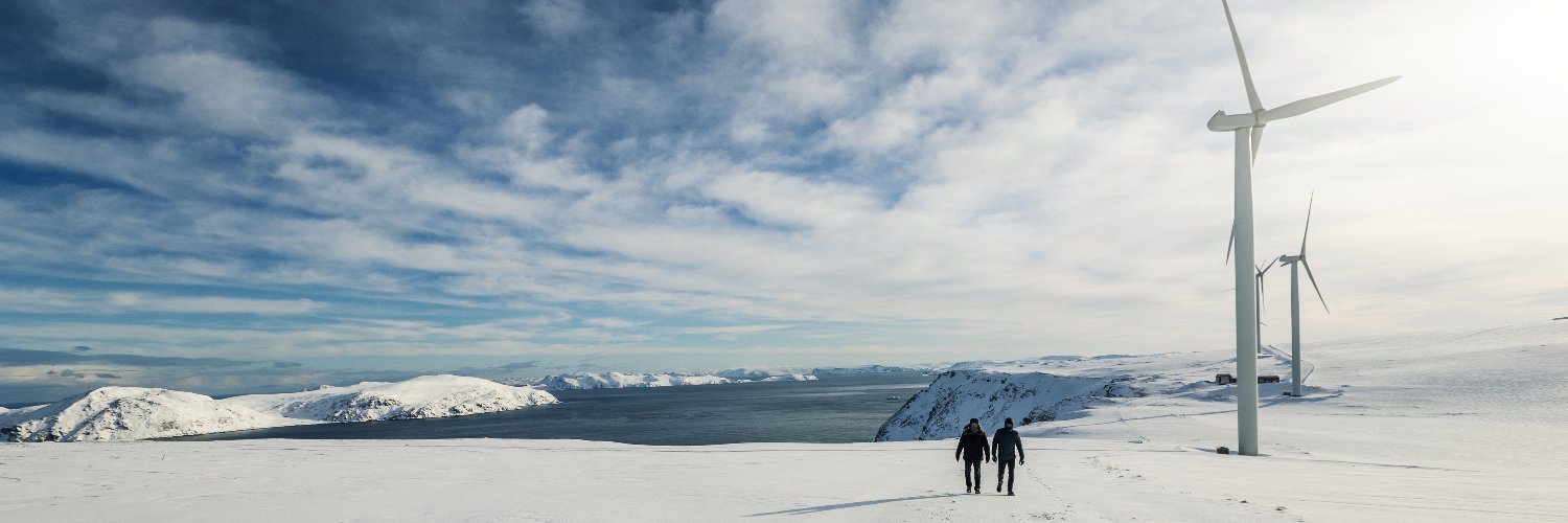 Arctic Economic Council banner
