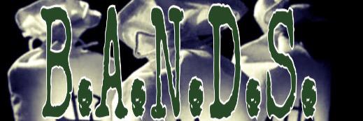 BarzillaBooBee's profile banner image