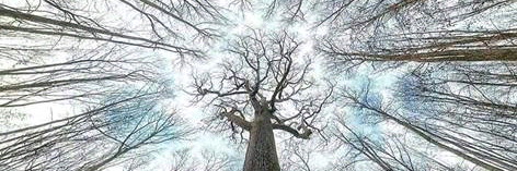 Alena's Chit Chat 🏴󠁧󠁢󠁷󠁬󠁳󠁿🏴󠁧󠁢󠁥󠁮󠁧󠁿 🍅 banner