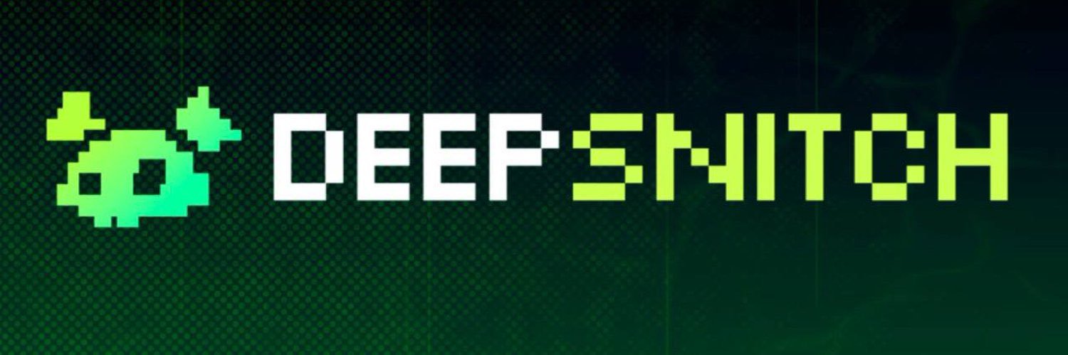 Deepsnitchai Service Team banner