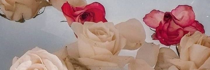 alwysdee's profile banner image