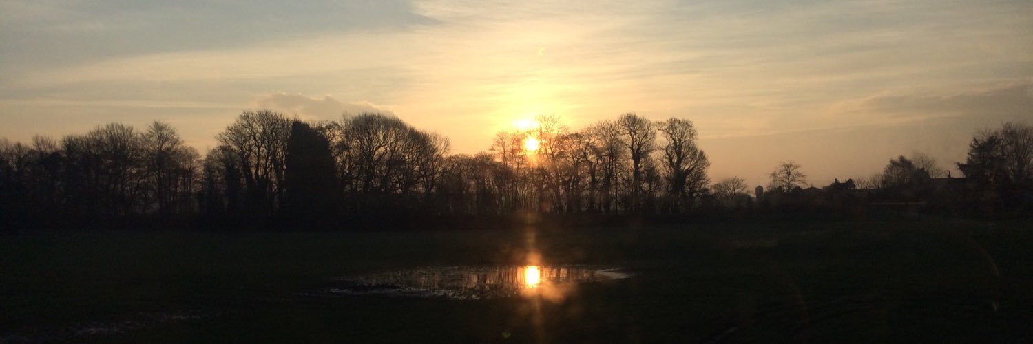 LewLew_Crouch's profile banner image
