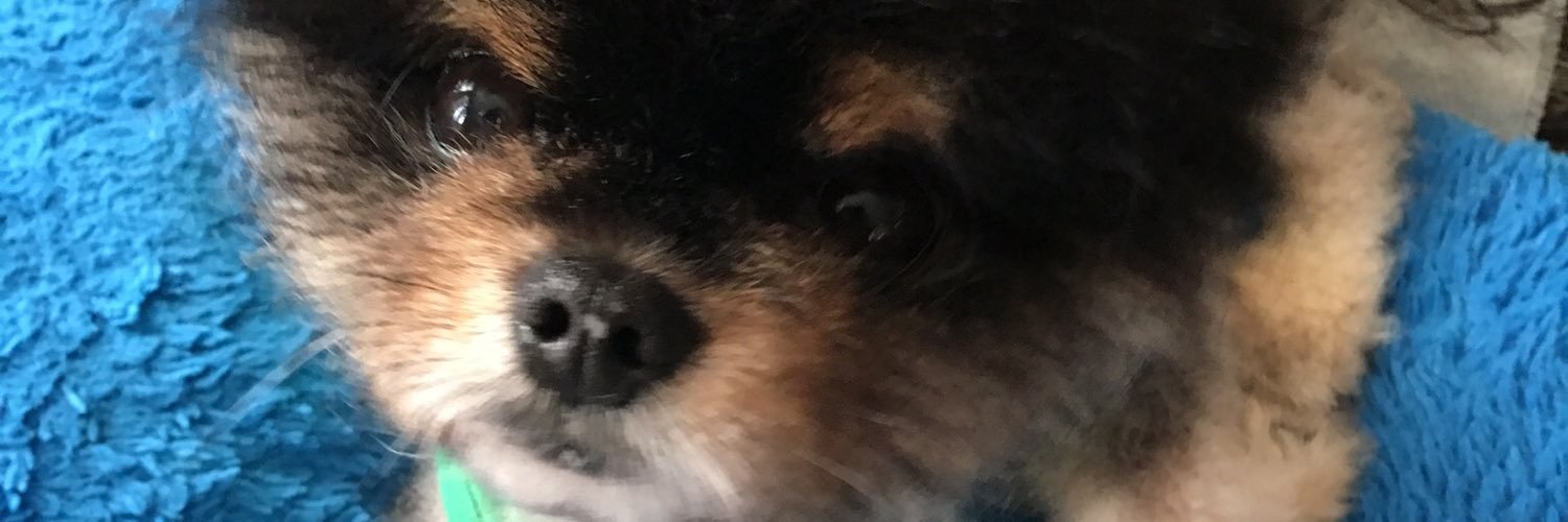 Broncosu's profile banner image