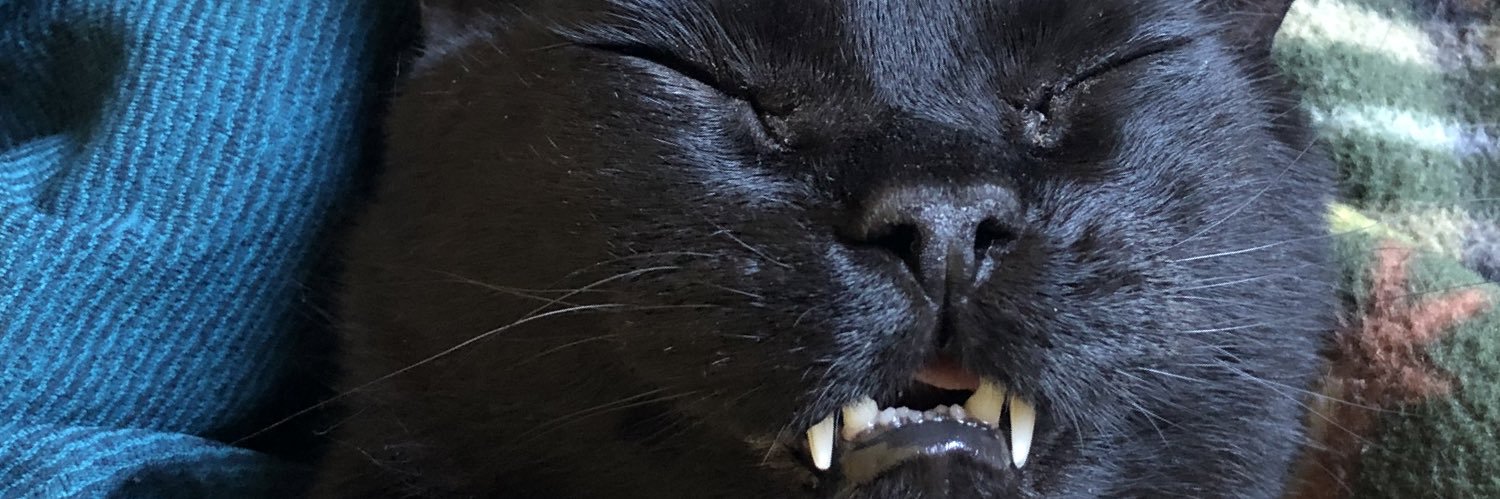 Cosmic_Sheepy's profile banner image