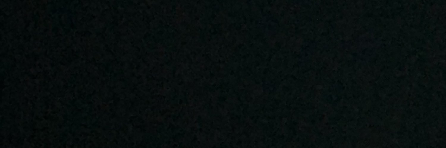 RachelBonura's profile banner image