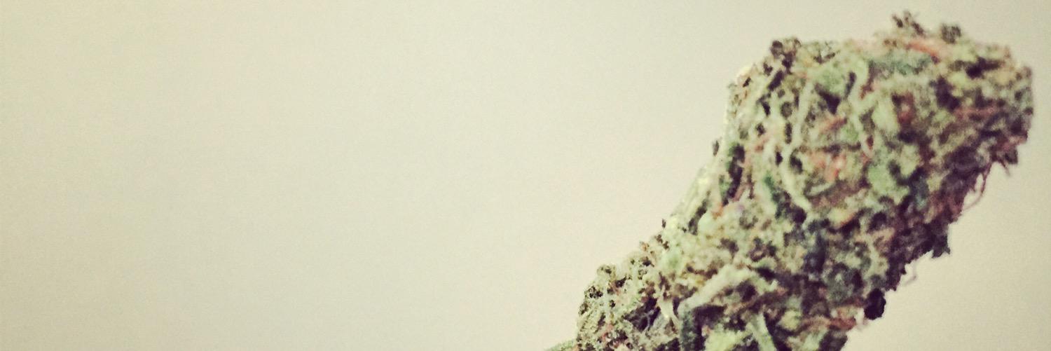 thatsrightj's profile banner image