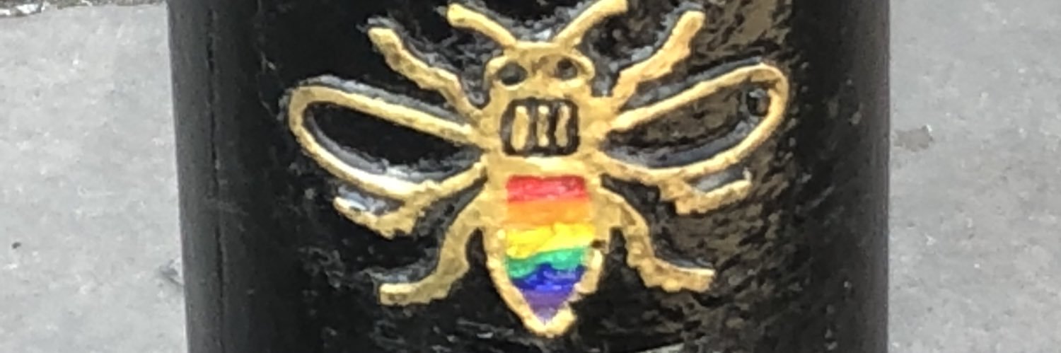 Eli Hicks ☭ 🇺🇦🇬🇱🇺🇳🏳️‍🌈🇺🇸🇯🇵🇪🇺🇬🇧🇪🇸 banner