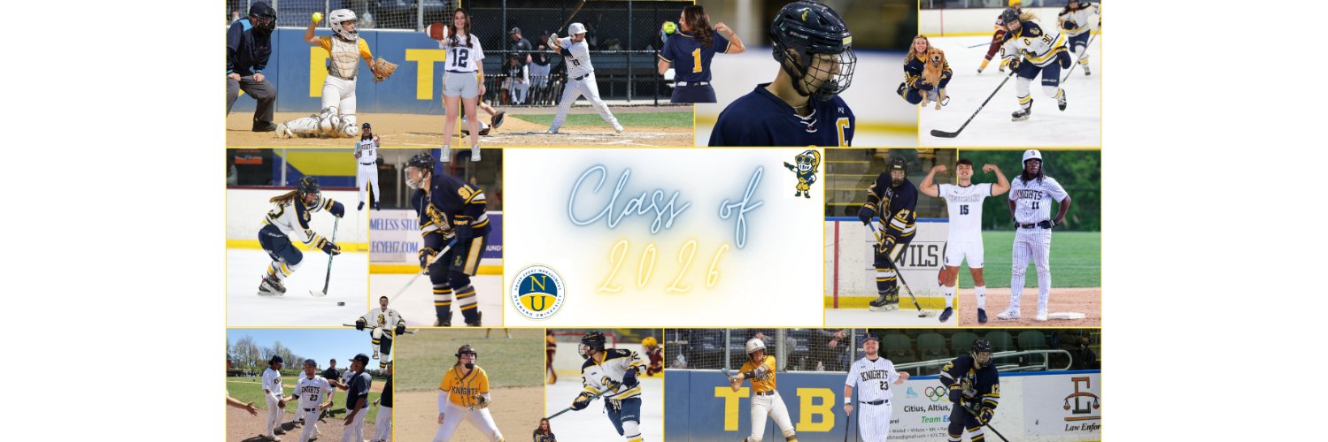 Neumann SM 460 banner