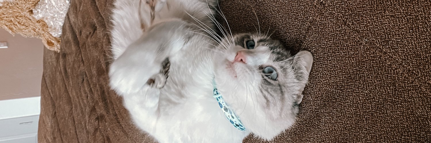 marleelynn77's profile banner image