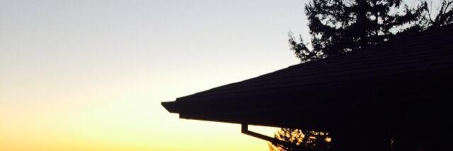 gschoony's profile banner image