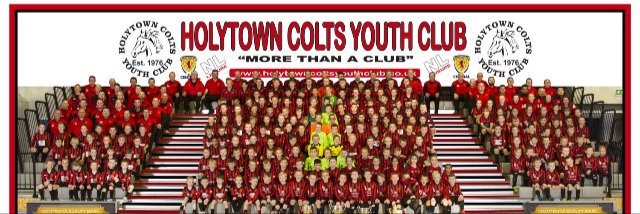 Holytown Colts Girls banner