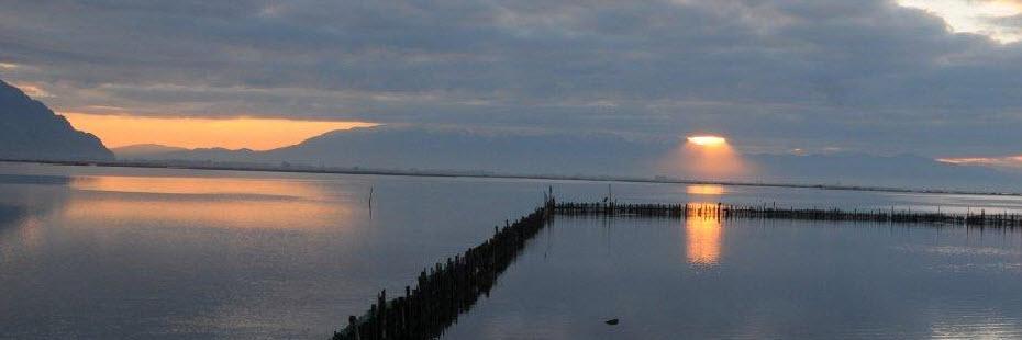 Loi Estiatorio banner