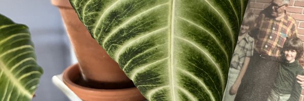 latinisdead Profile Banner