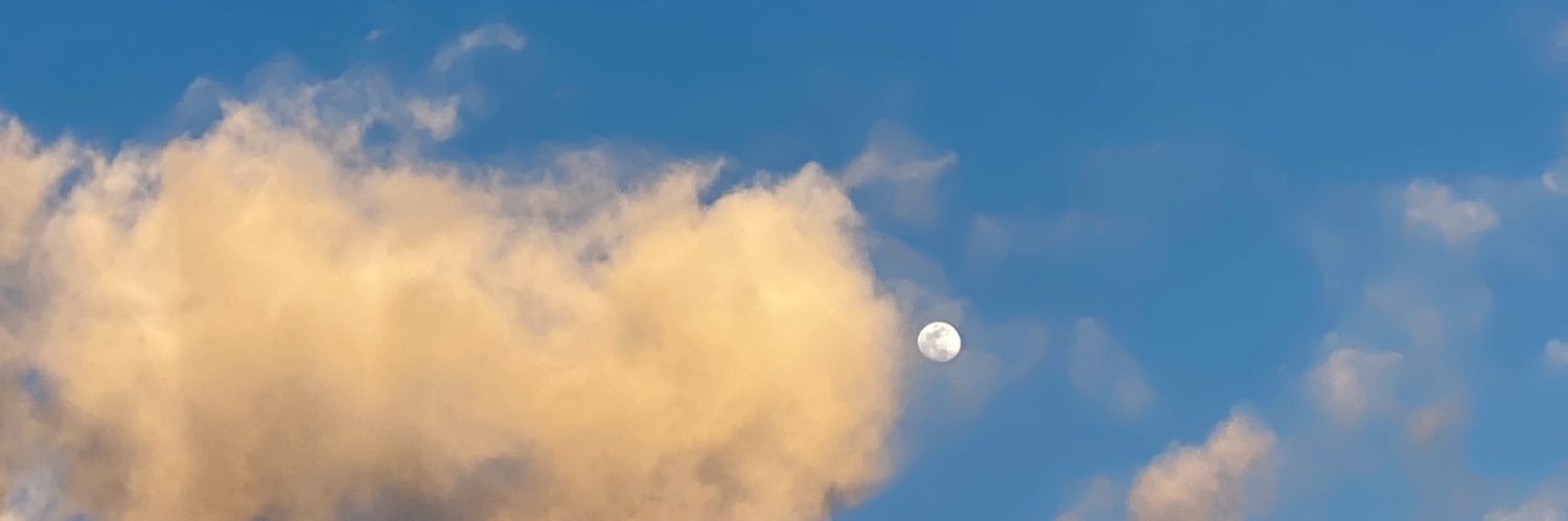 ShanMHo's profile banner image