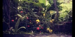 jason_moraes's profile banner image