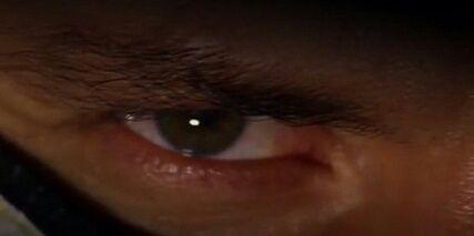 lucignolorg's profile banner image