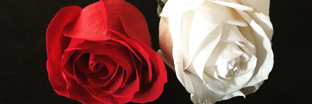 2_rakel's profile banner image