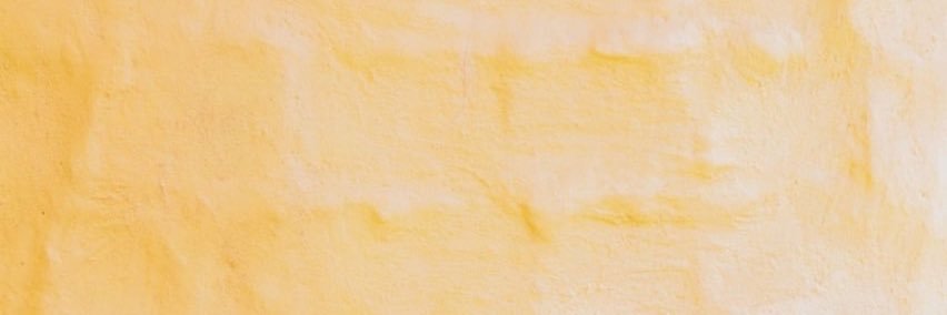 Valentina Noguera banner
