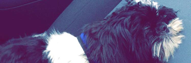 NaomiW21's profile banner image