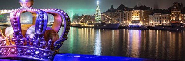 VivyZhao Profile Banner