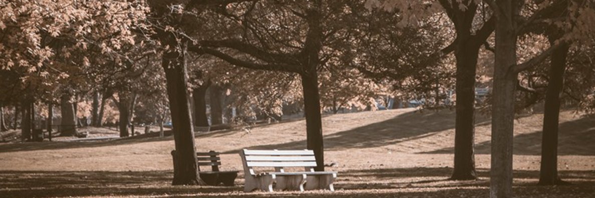 Jen_Beaul's profile banner image