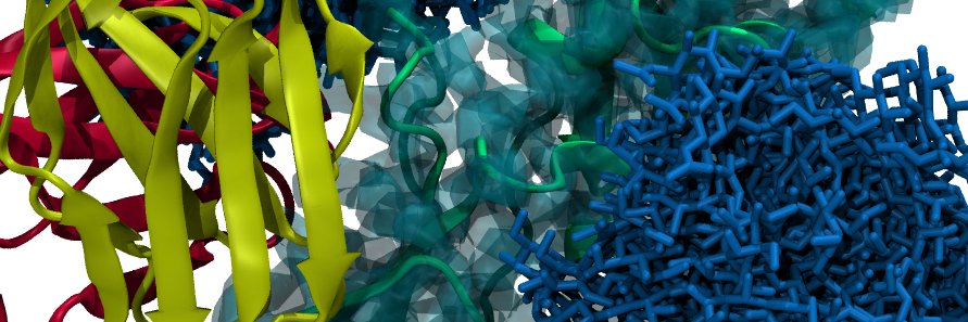 Matheus Ferraz banner