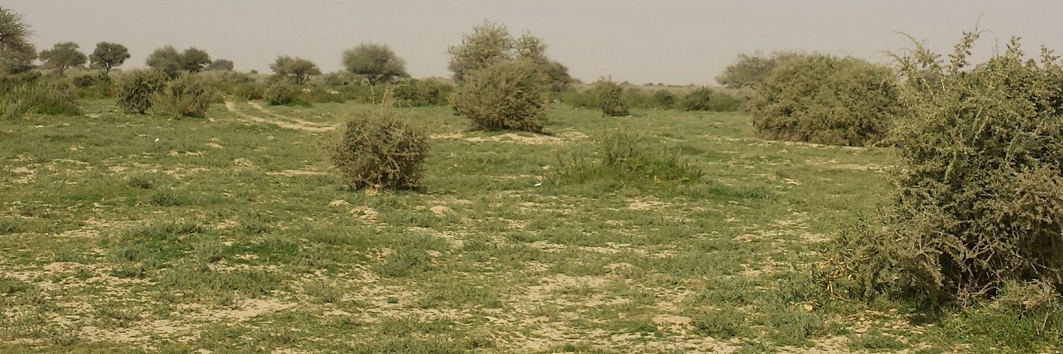 Anad_1985's profile banner image