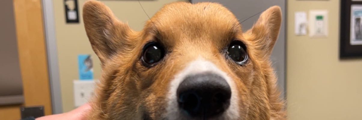 KatelynHabib's profile banner image