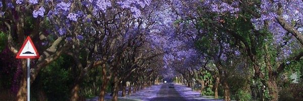 MDseventy3 Profile Banner