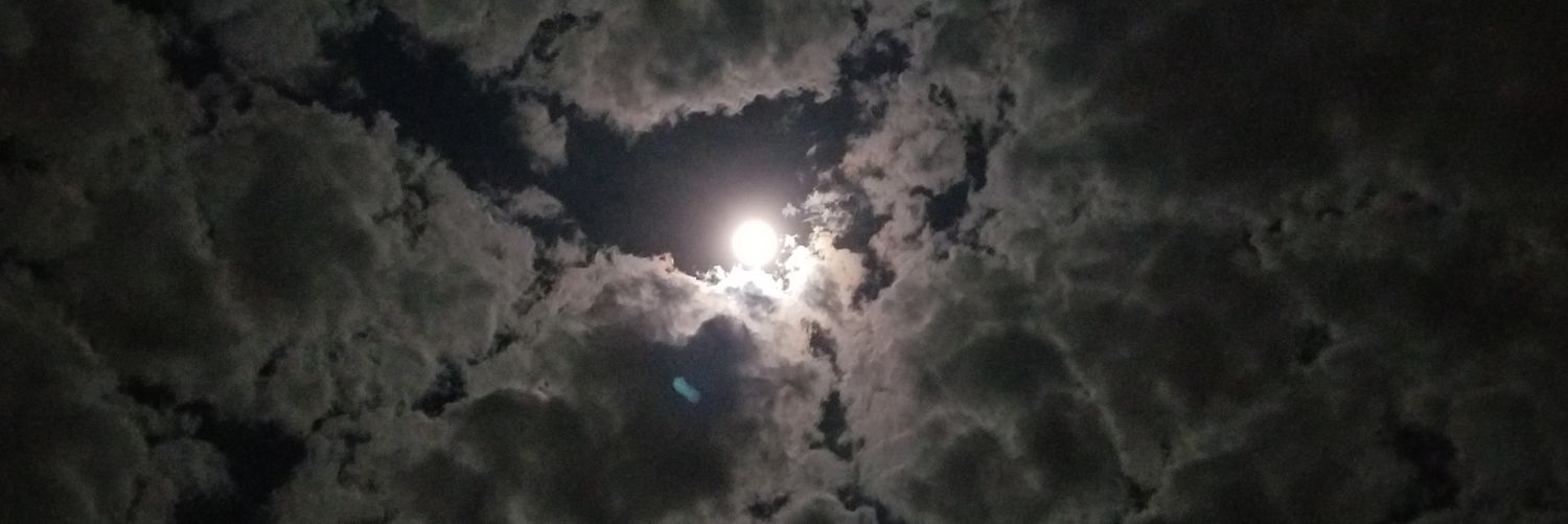 bnewitt07's profile banner image