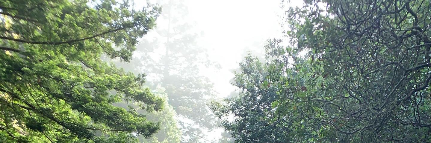 Hunter ancich banner