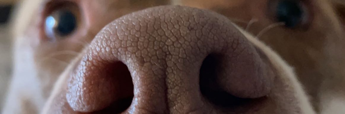 alyjayboy's profile banner image