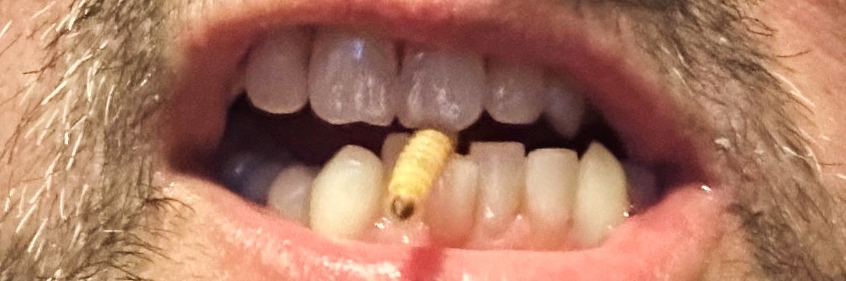 mandragorx's profile banner image