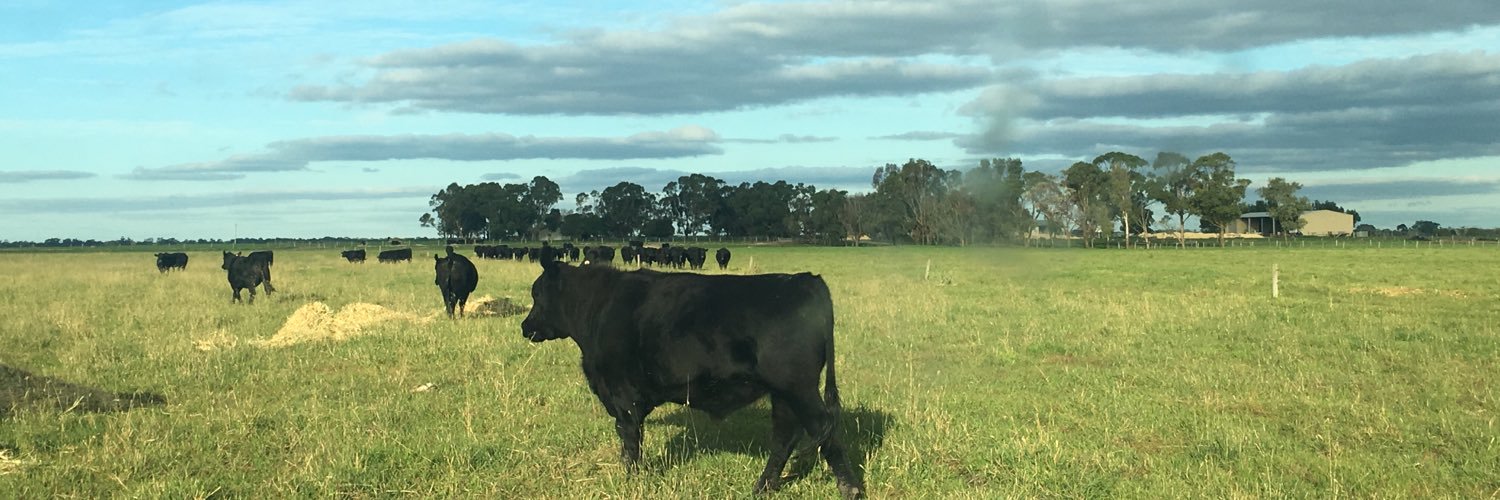 AustralisFood's profile banner image