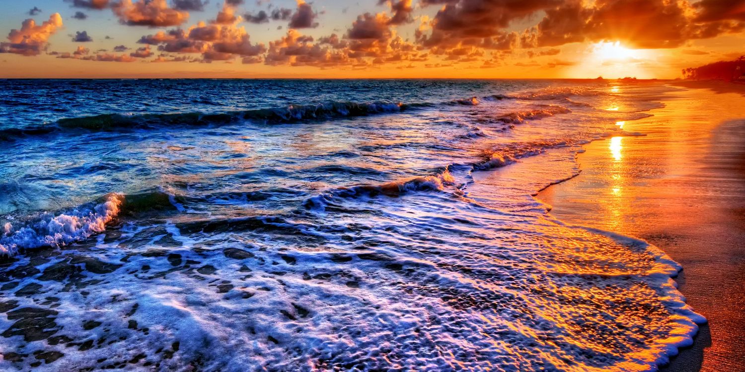 Sierra Barham banner