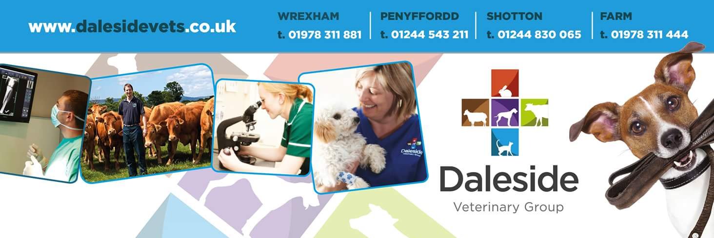 Daleside vets banner