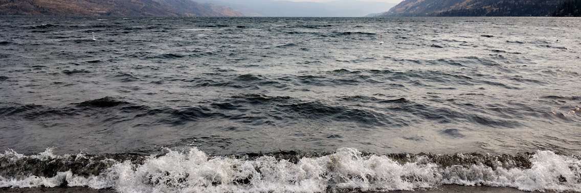 Ian Markus banner