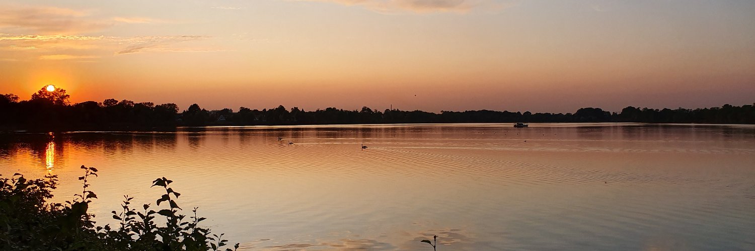 David Postlethwaite banner