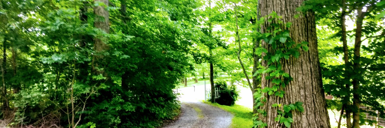 SuzeCBama's profile banner image