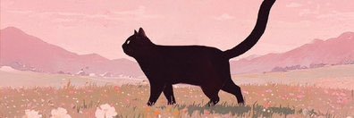midnuay's profile banner image
