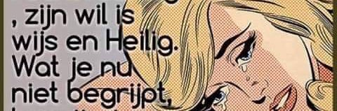 Gerrie de Vegt banner