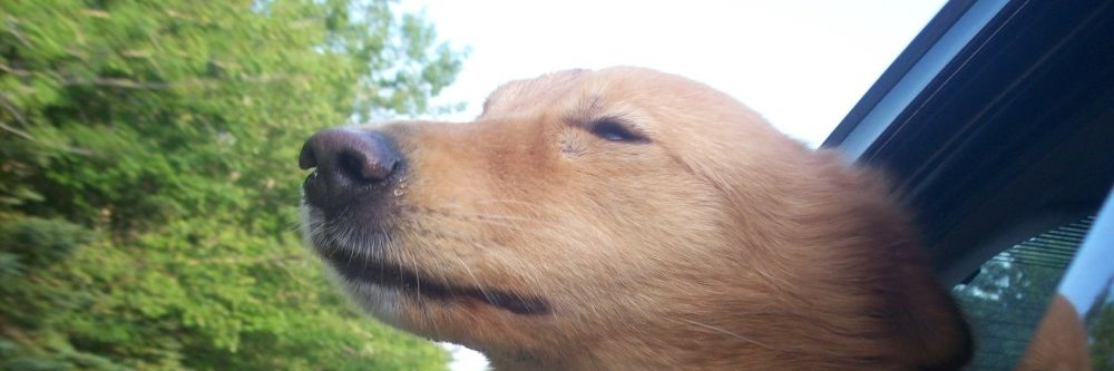 Poffrider's profile banner image