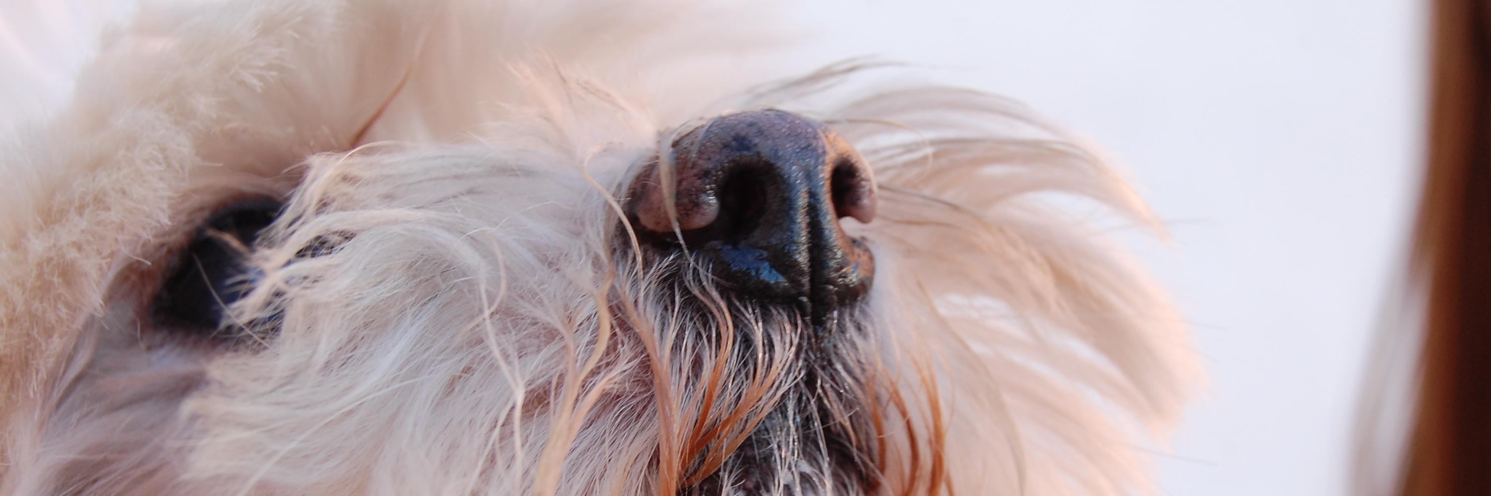Gemmverde's profile banner image