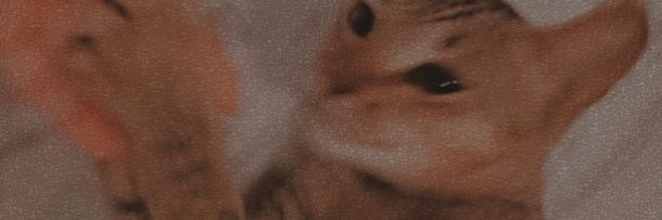 MohMaya__'s profile banner image