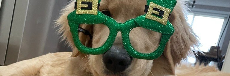 AVigo's profile banner image