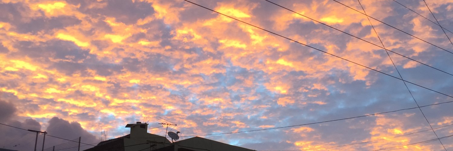 mpatsylee68's profile banner image