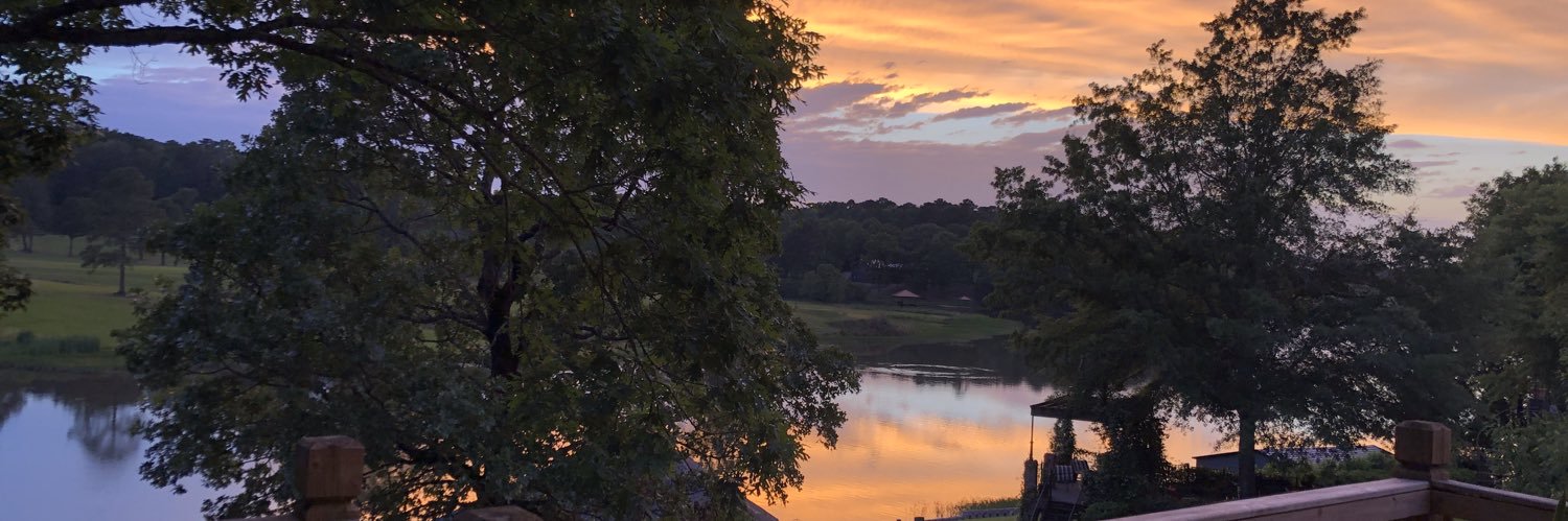 msudawg02's profile banner image